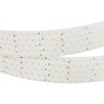 Лента светодиодная RT 2-2500 24V Warm3000 5x2 (2835, 875 LED, LUX) (Arlight, 36 Вт/м, IP20)
